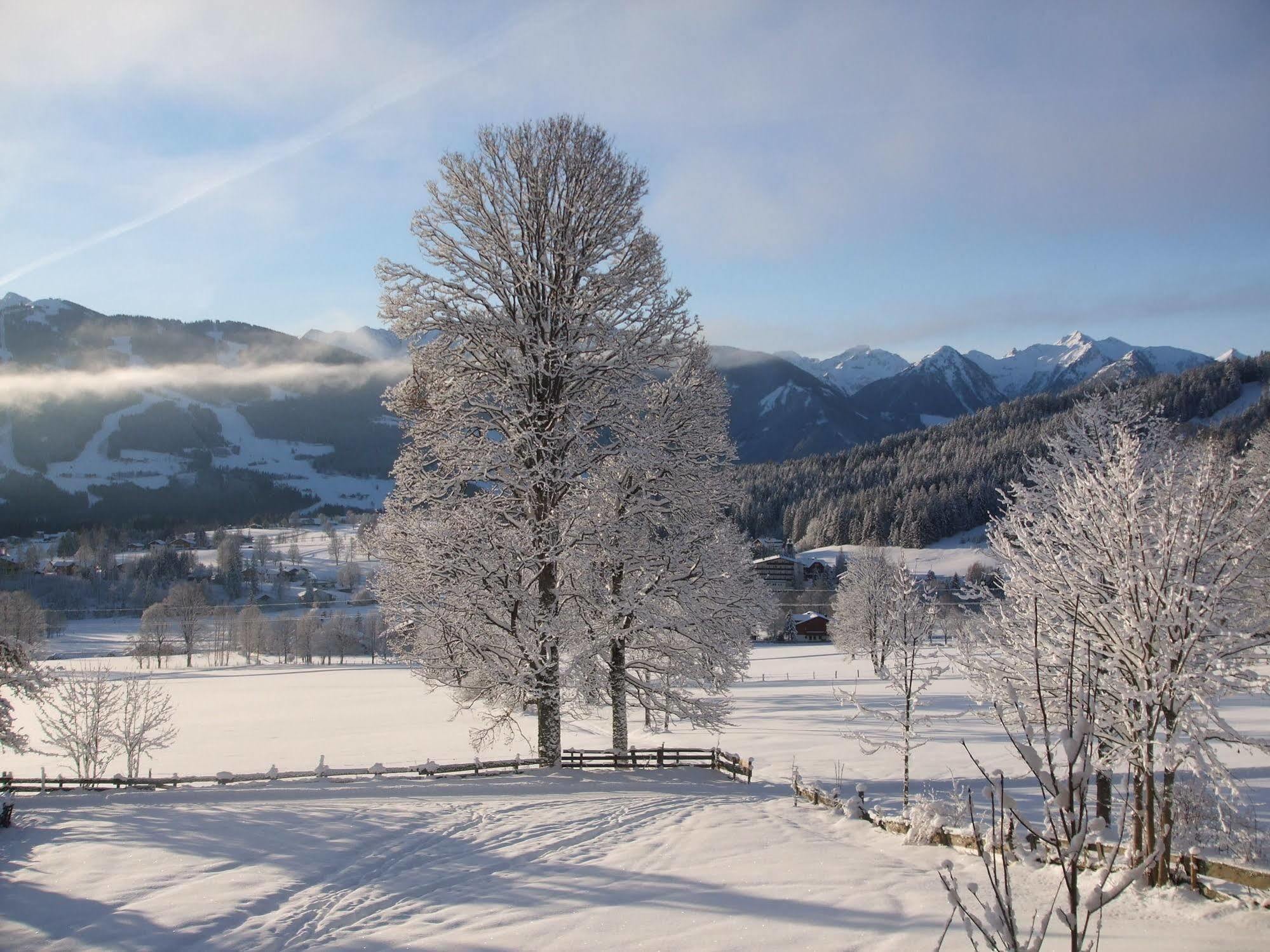 Pension Dachsteinhof Ramsau am Dachstein Exteriör bild